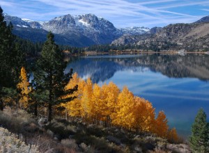 Fall Colors 2